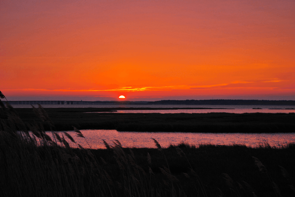 Sunset Skiff Boat Rentals
