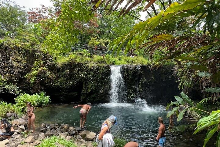 Full-Day Road to Hana Escape with Lunch