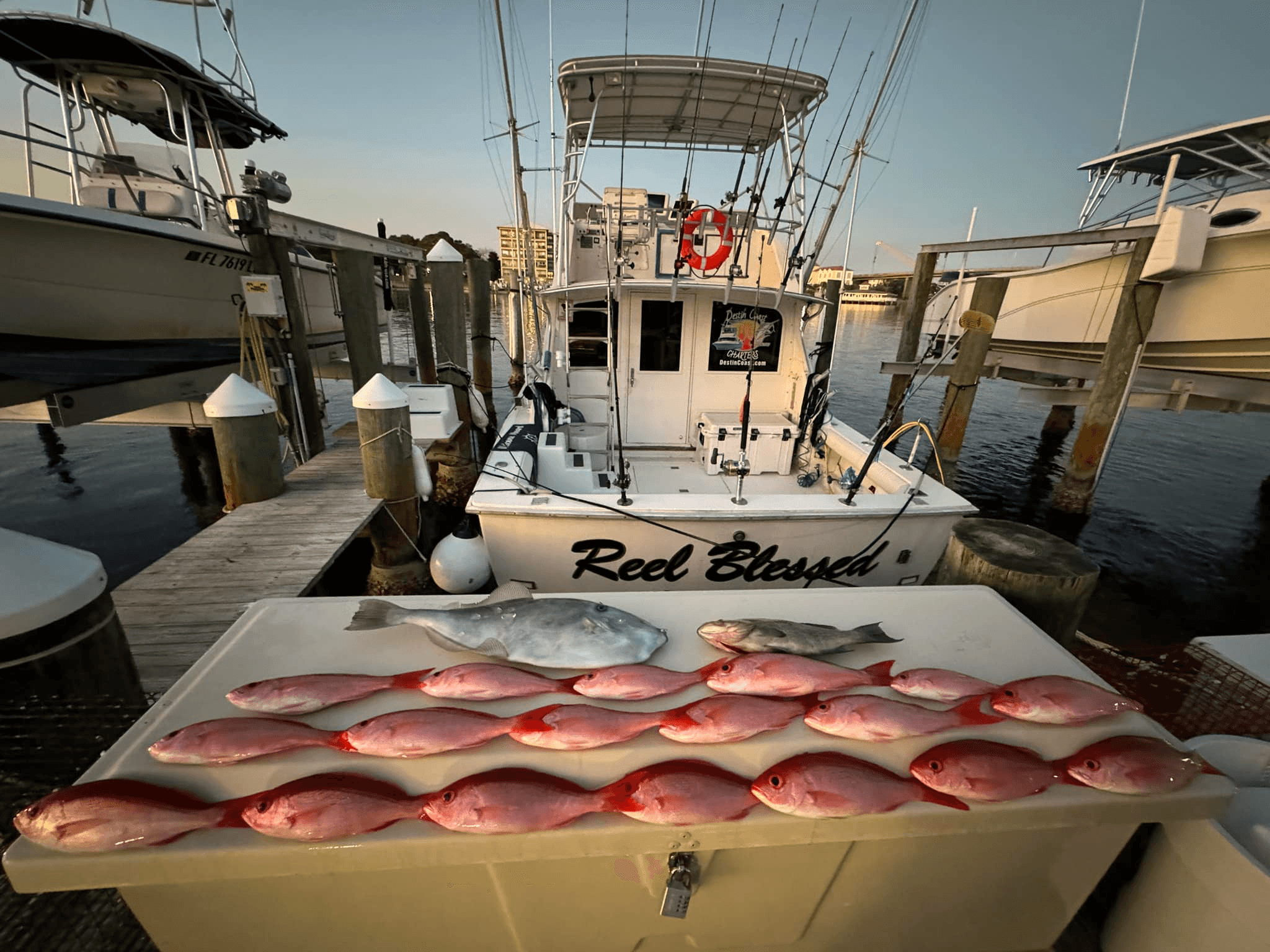 Offshore Bottom Fishing and Trolling