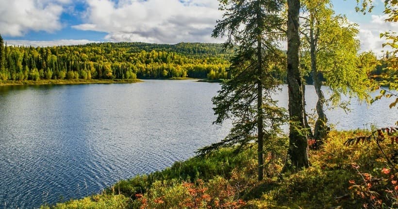 Talkeetna Lakes Hike