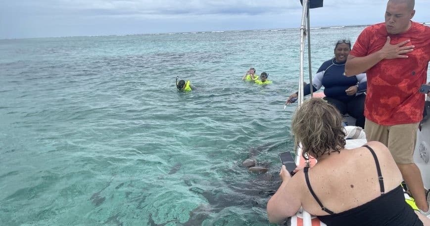 Snorkeling in Belize Hol Chan Marine Park & Sharkray Alley