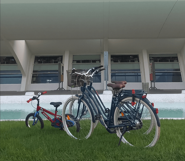 One Week Bike Rental