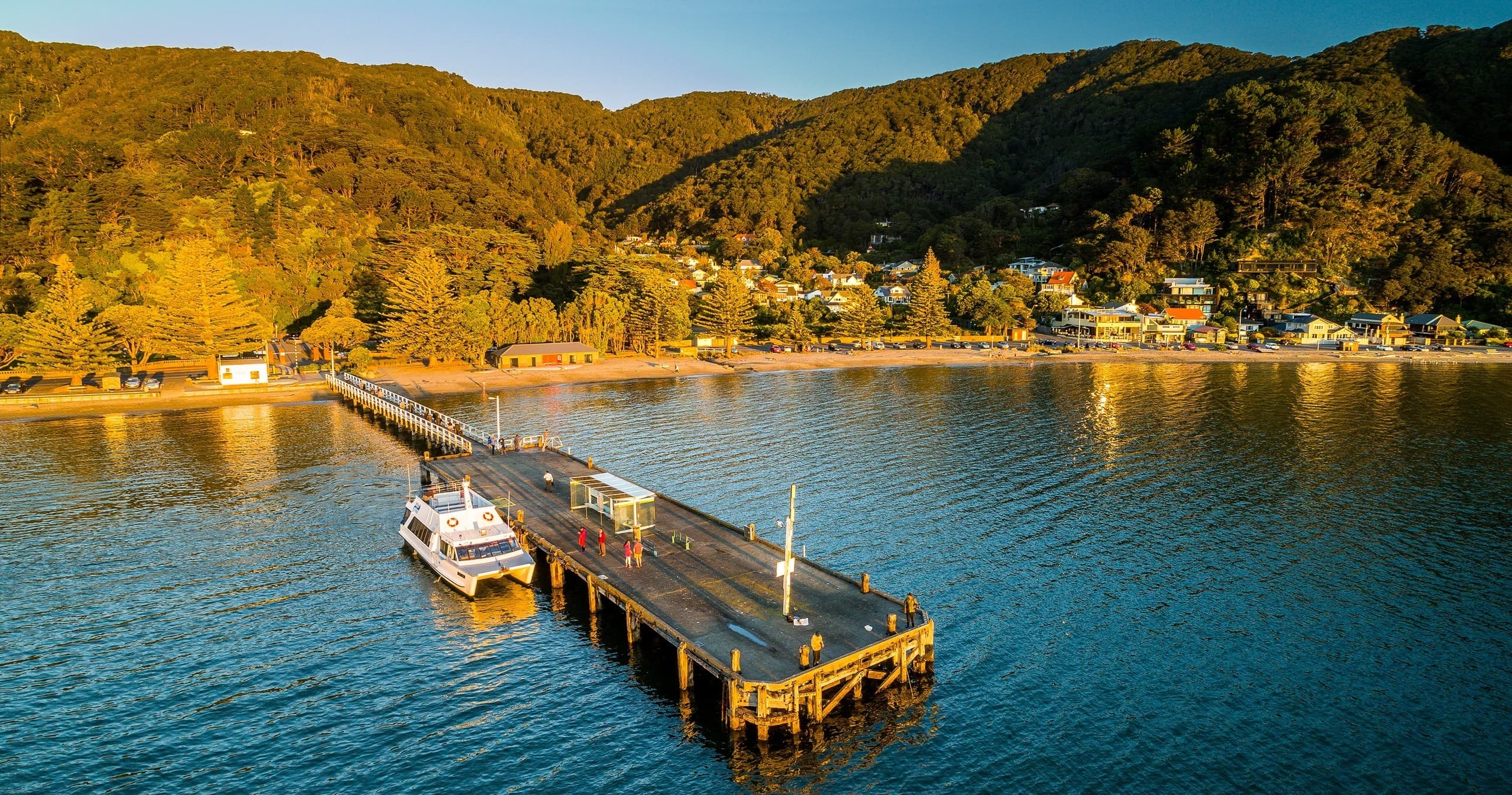 Departing from Days Bay - Mātiu/Somes Island day trips