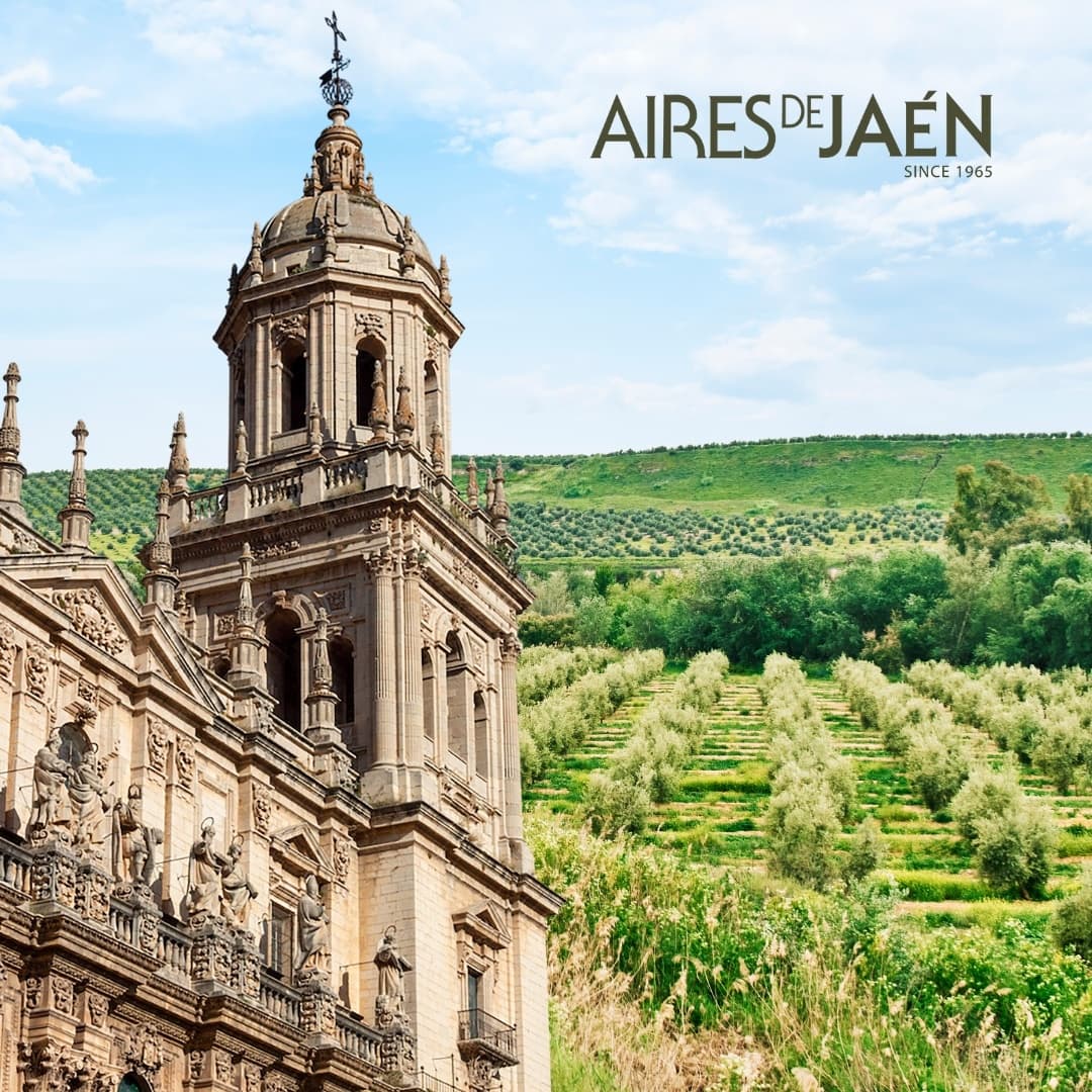 Oleocultural Jaén