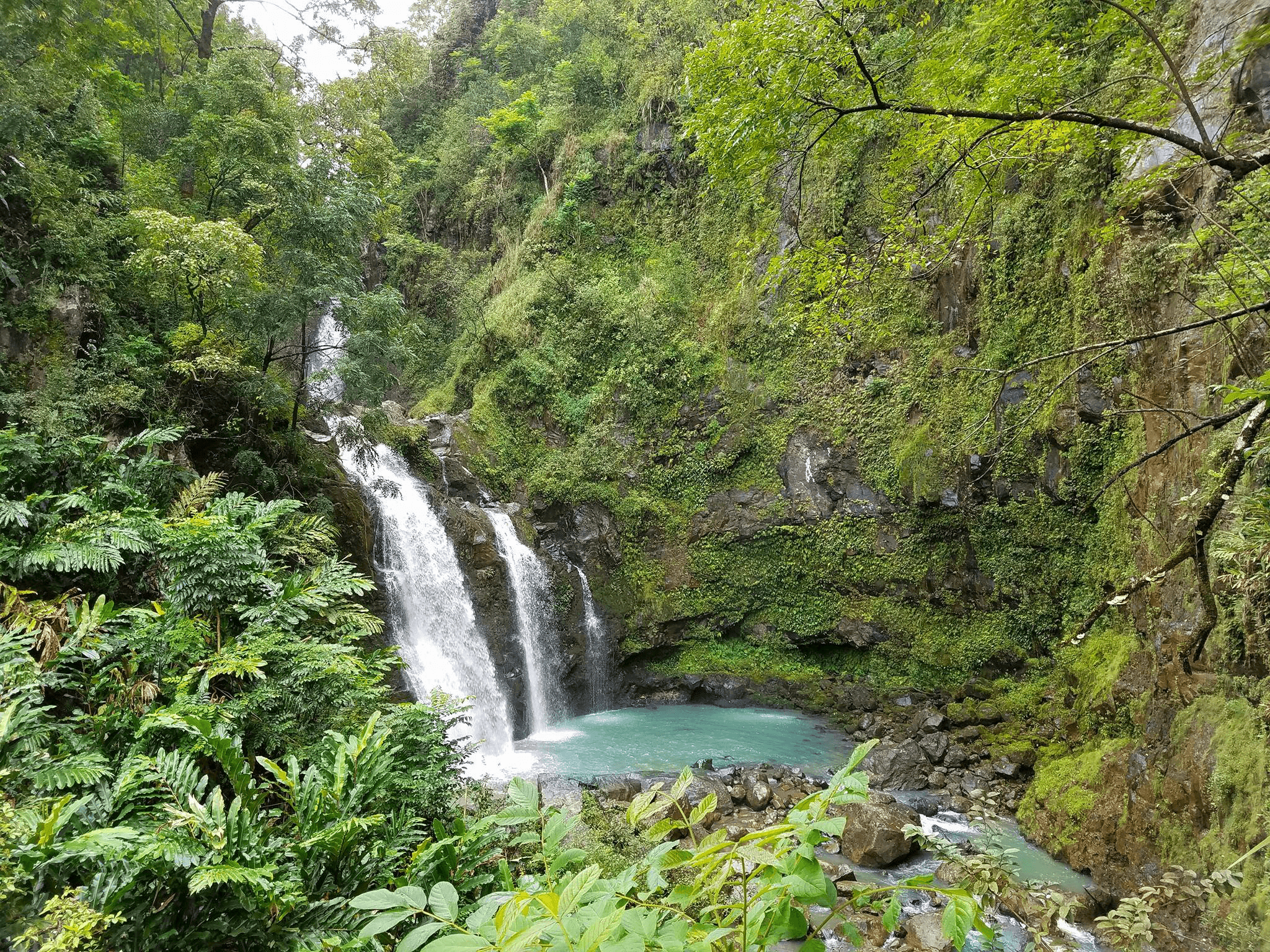 Road to Hana Halfway Tour