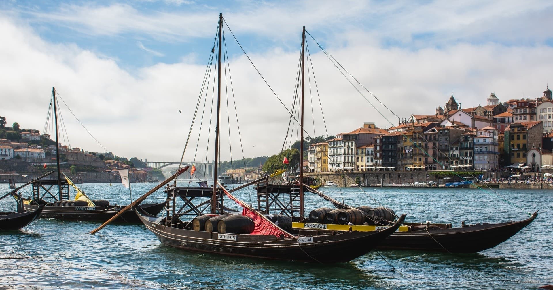 Douro Valley - Grape Harvest Tour
