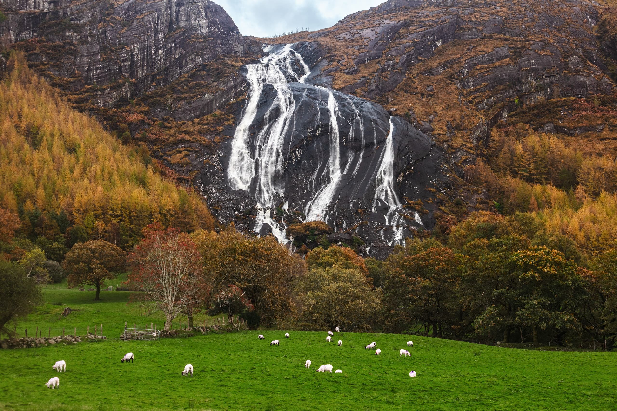 Beara Peninsula Photo & Sightseeing Tour