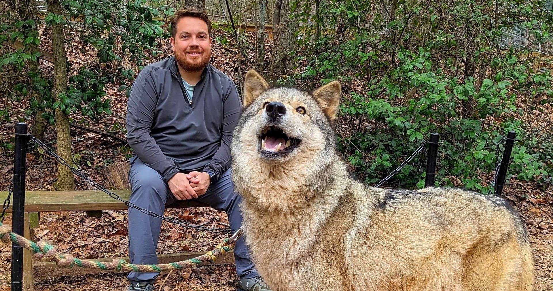 Wolf Experience