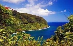 21AP - Private Road to Hana Rainforest and Waterfall Experience Departing from Maui