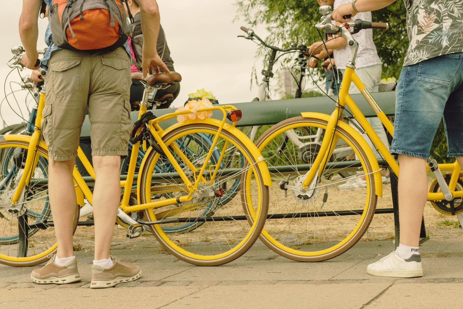 2 Day Bike Rentals