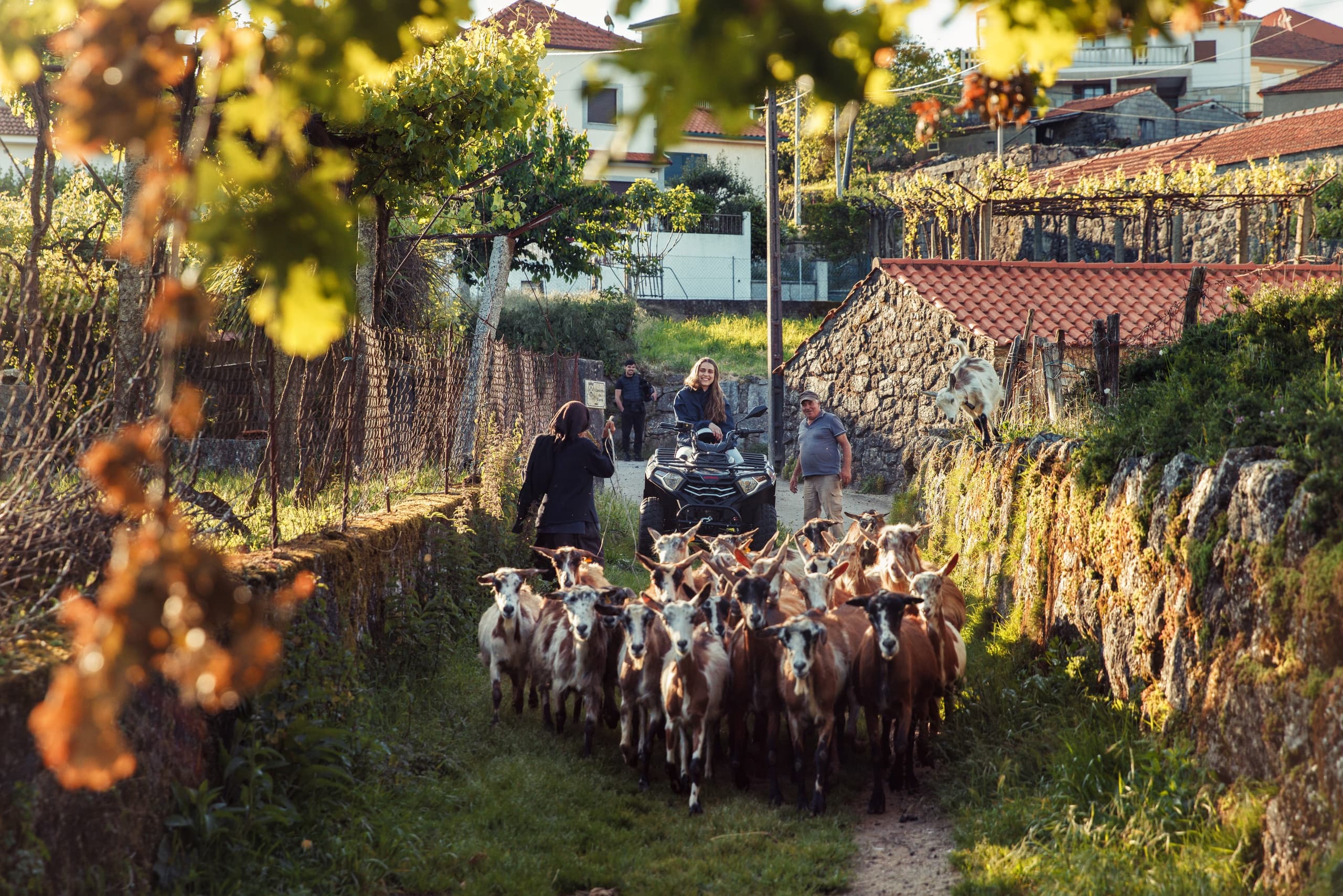 Medieval • Quad • 2h