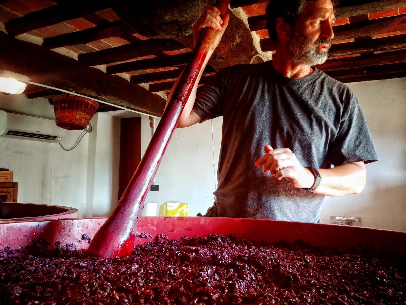 Private Old fashioned winemakers Tour by minivan