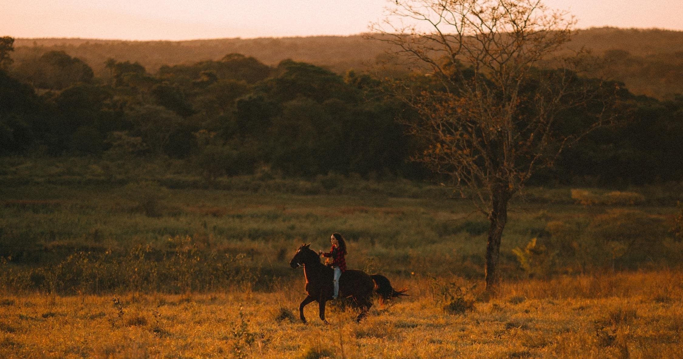 Riding Lesson & Trail Ride