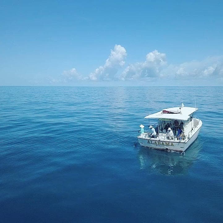 Reef Fishing (4 Hours)