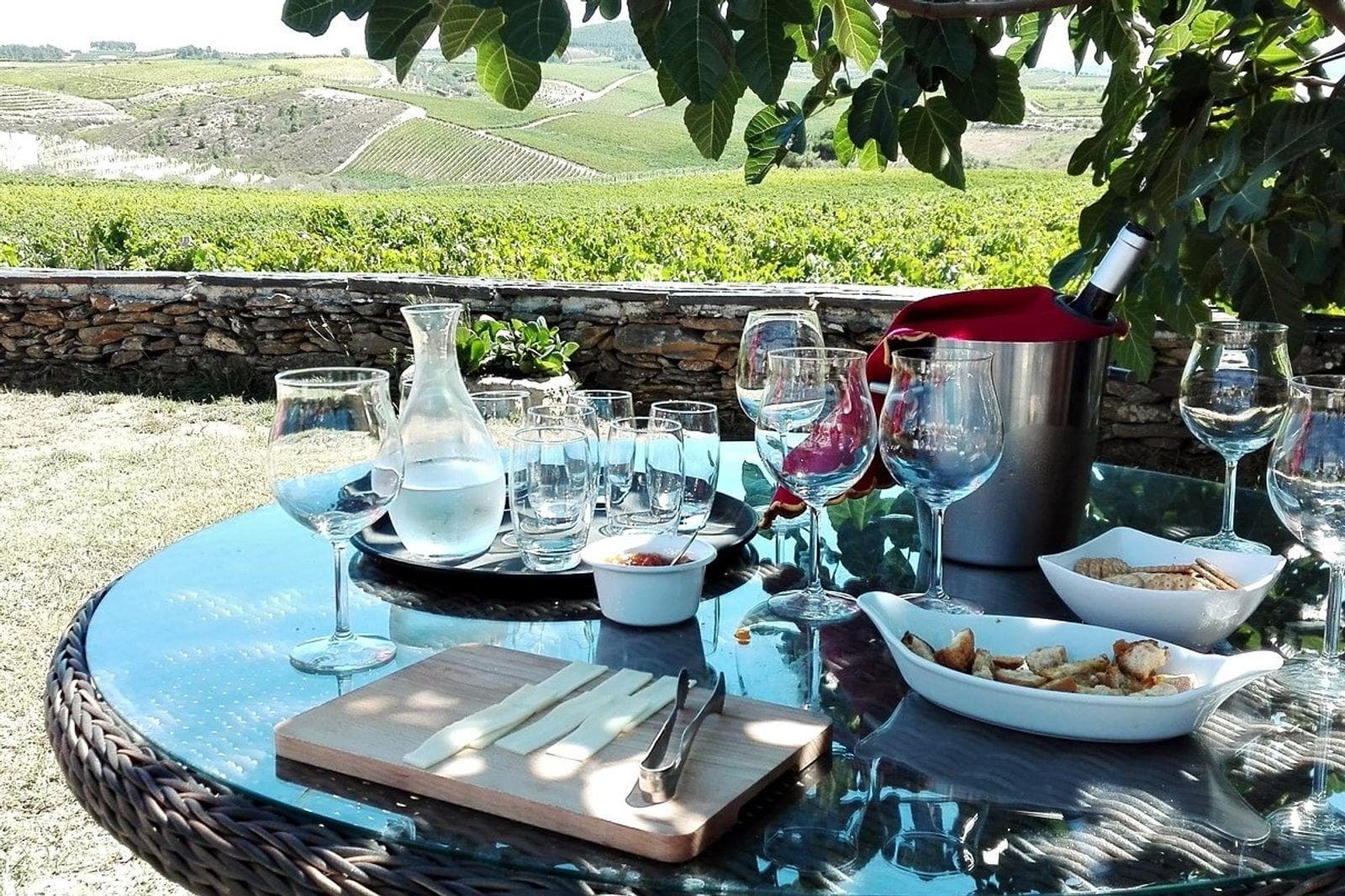 Tour Privado do Vale do Douro (Tudo Incluído)
