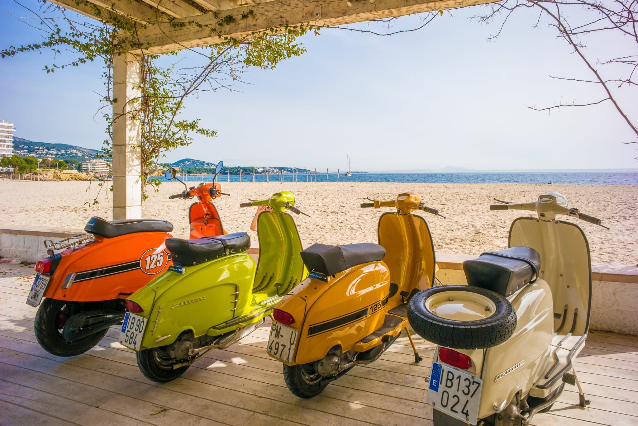 Easy Rider Tour