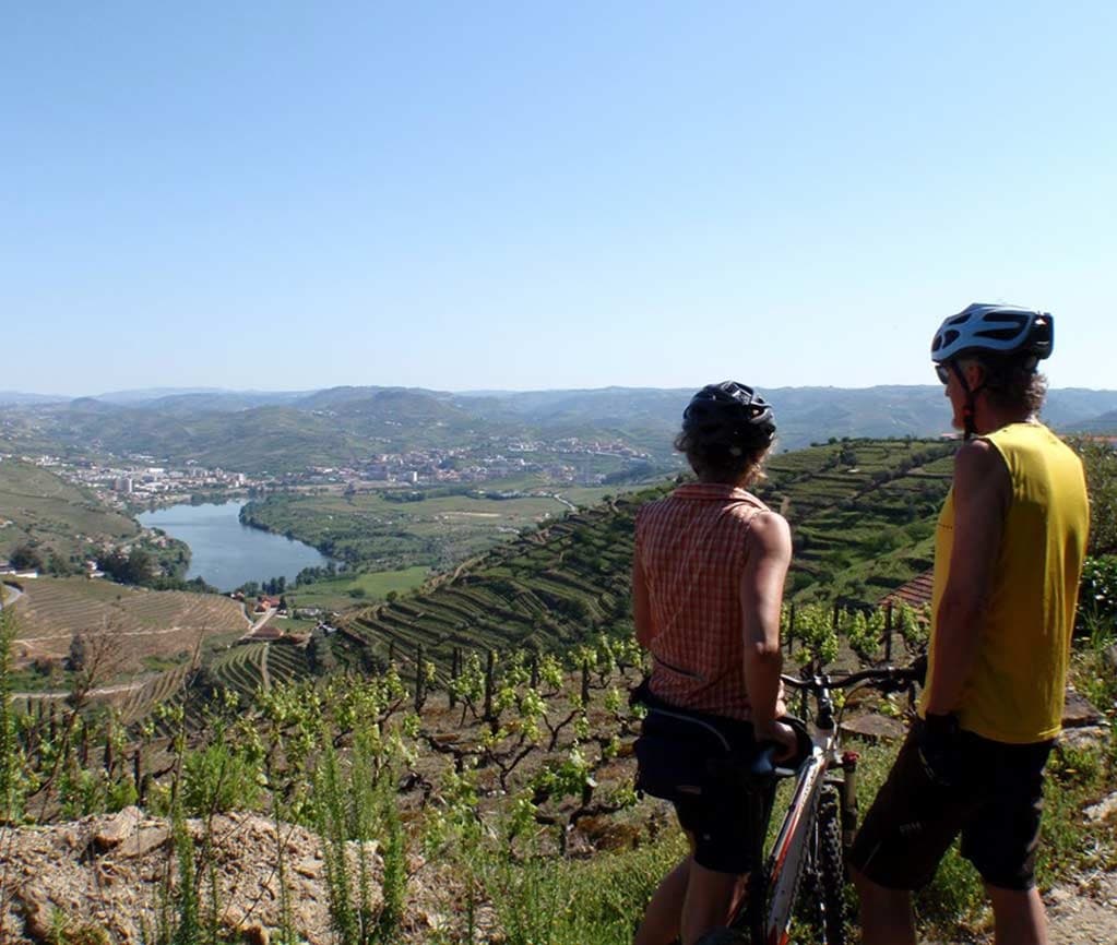 Passeios BTT E-Bikes, pelas Vinhas