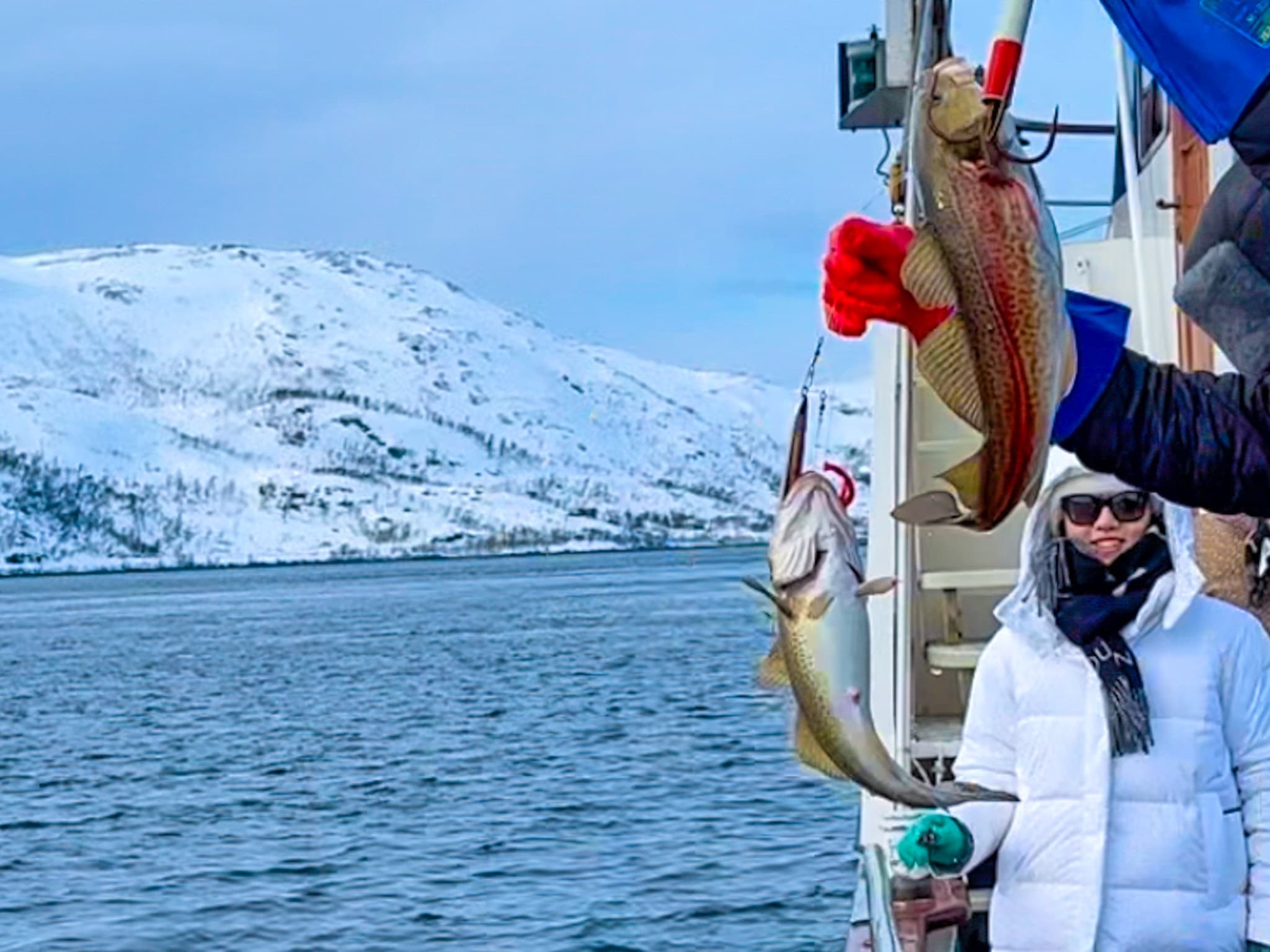 Private Fishing Trip & Seafood Fjord Cruise Tromsø