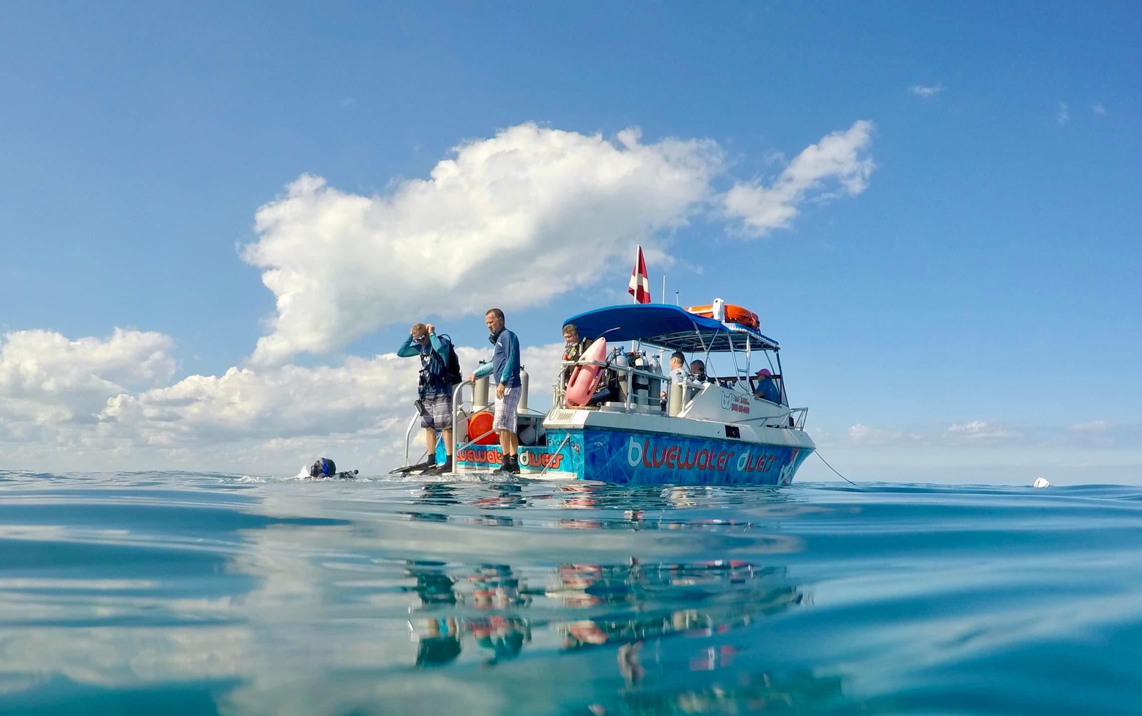 Bluewater Diver Scuba & Snorkeling Trip