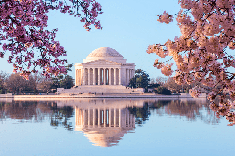 DC Monuments and Memorial Day Tour