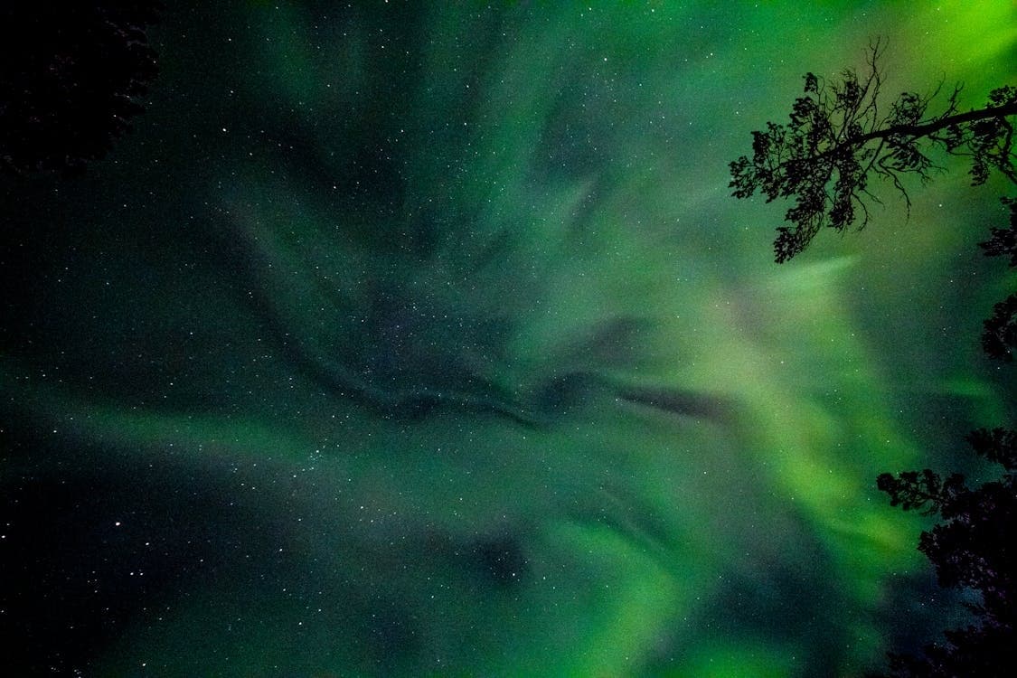 Northern Lights Experience