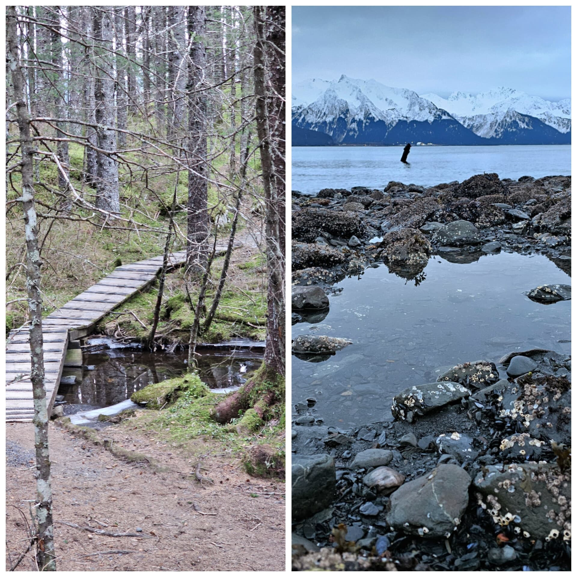 Full Day: Two Lakes & Waterfront ​