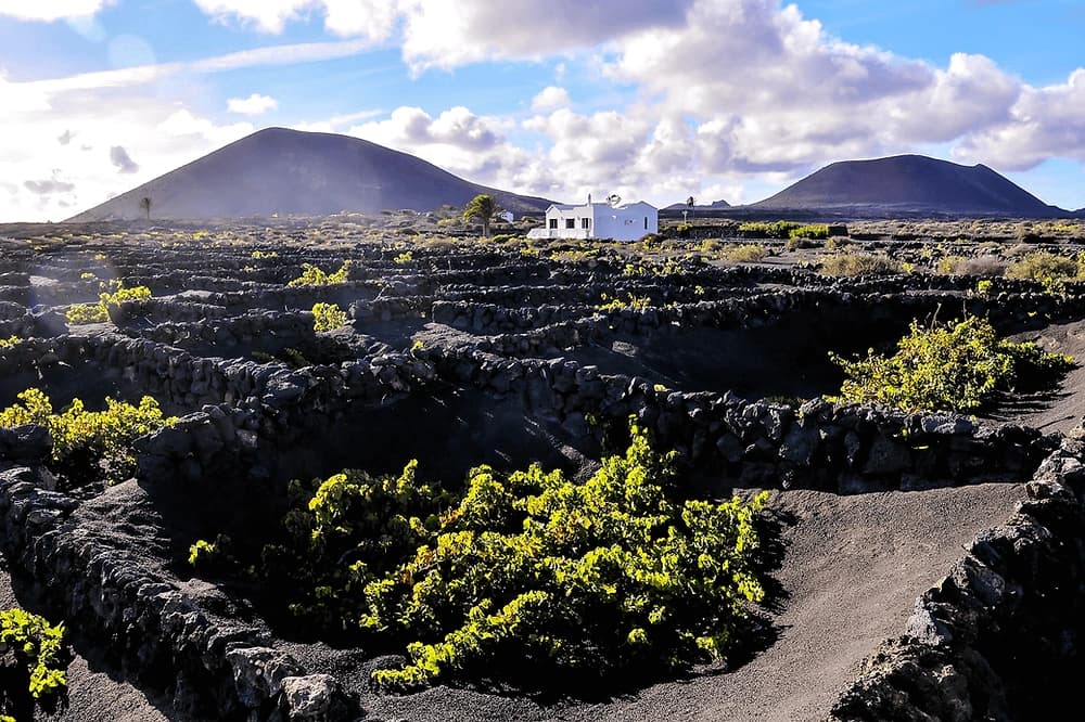 Lanzarote Bus Trip