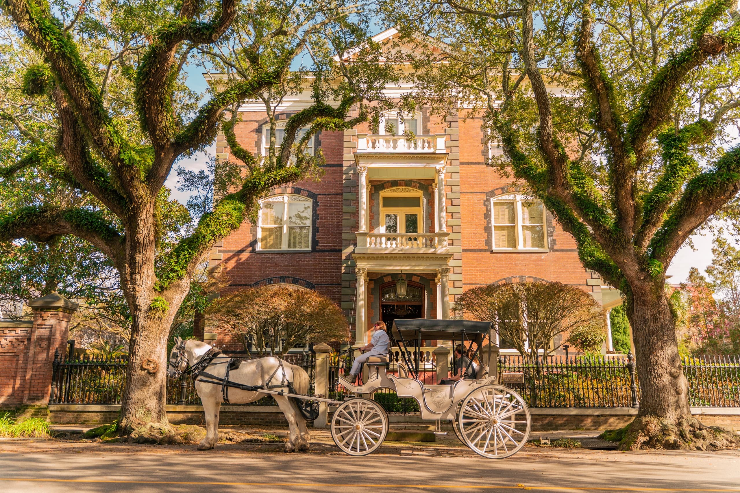 Daytime Private Carriage Tours