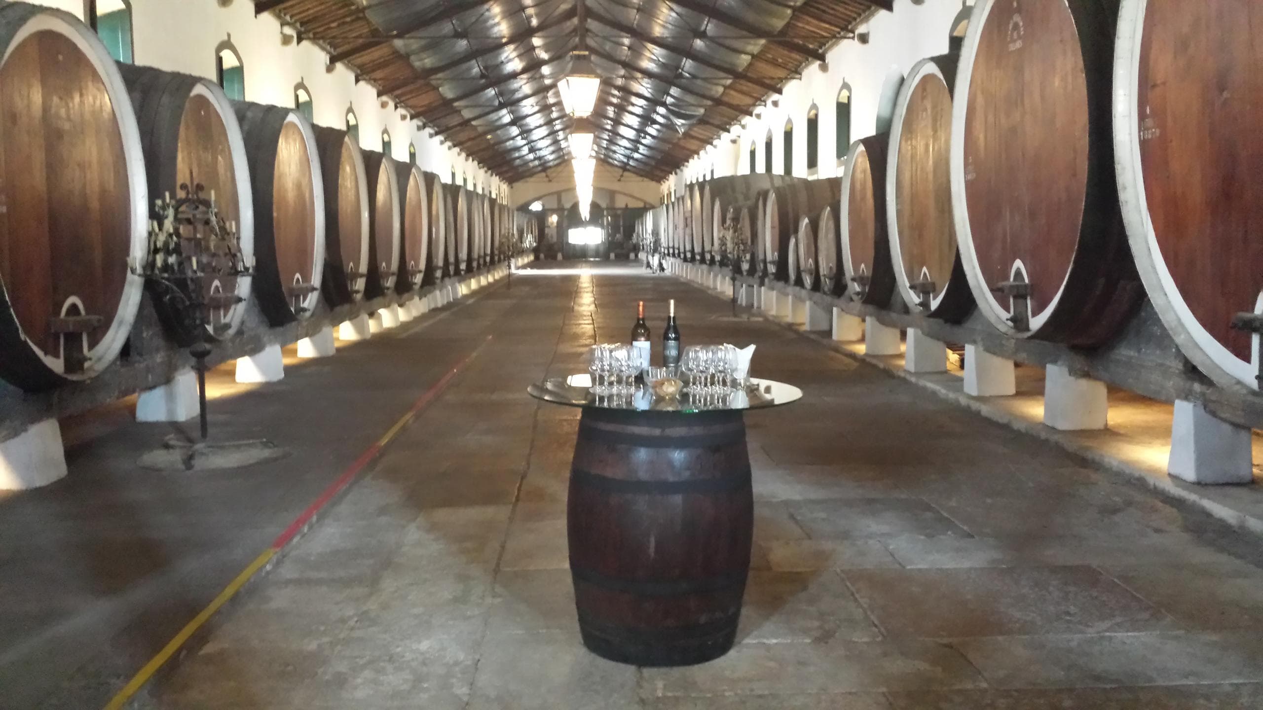 Arrábida and Sintra: Full-Day Private Wine Tour