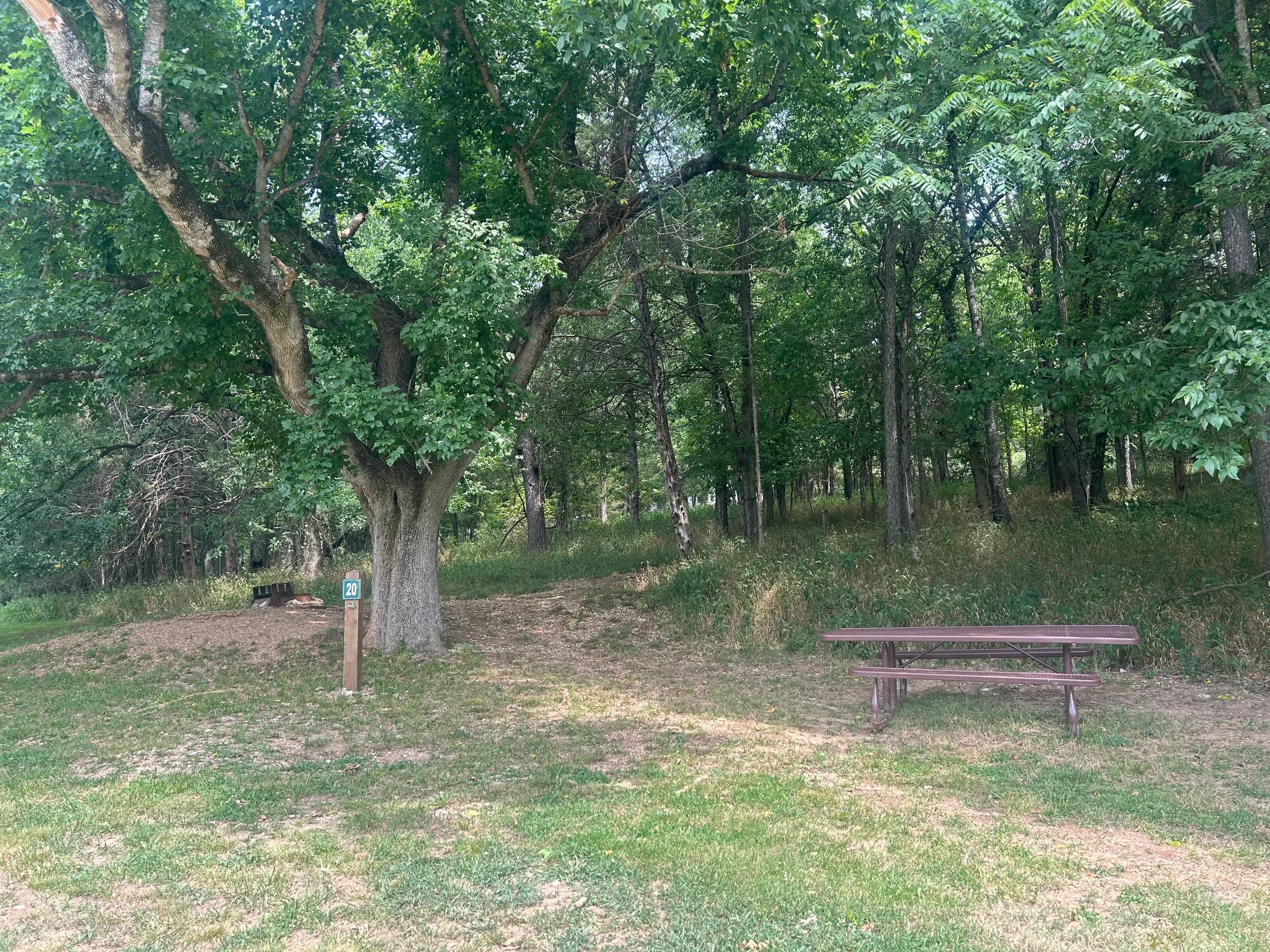 Field Campsite (F20)