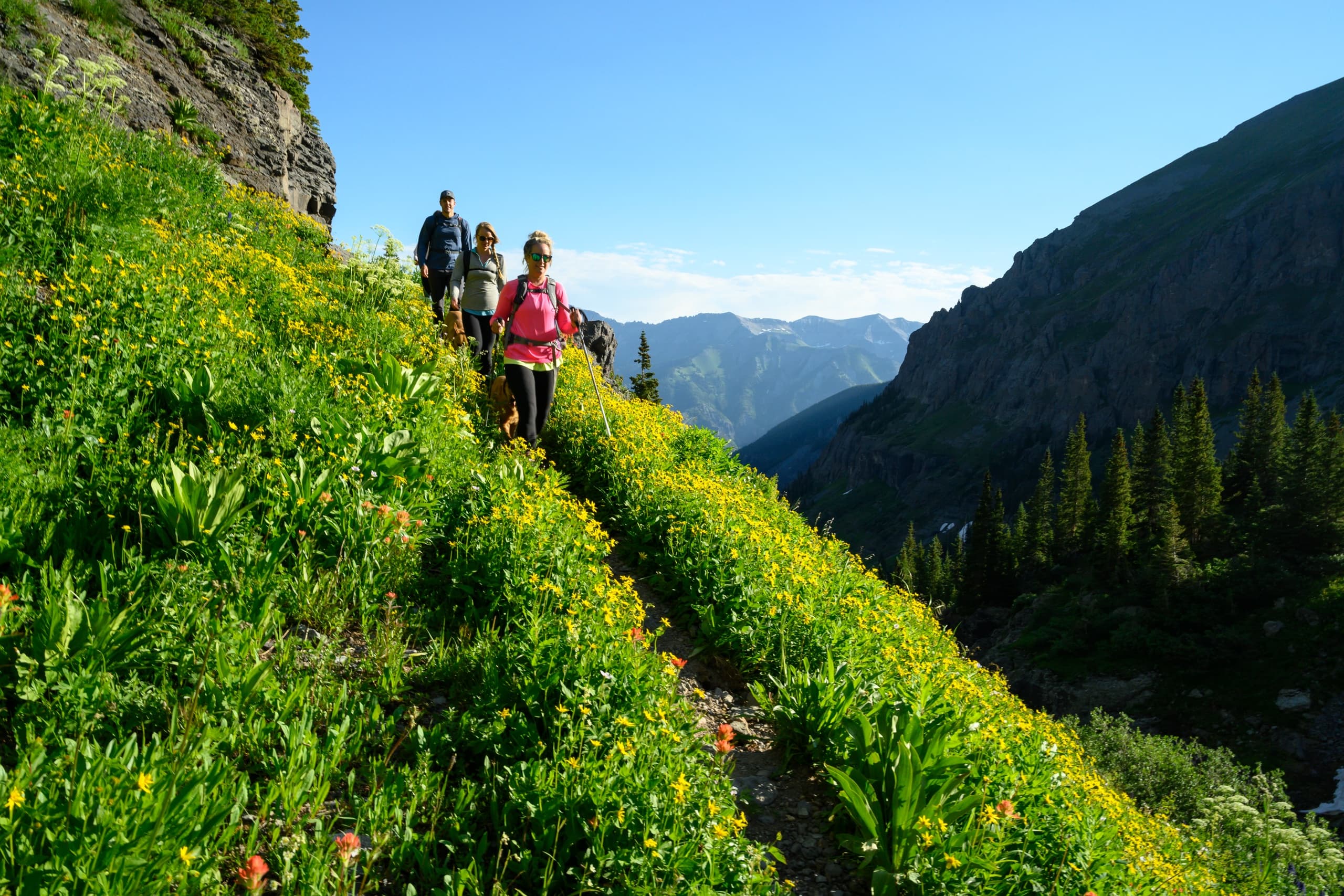 Hiking Half Day