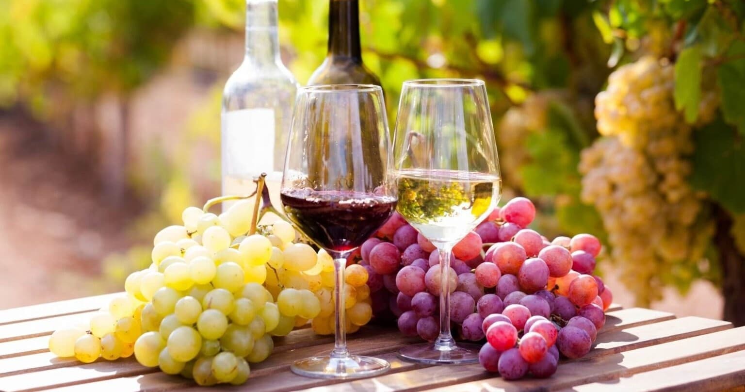 Wine tasting nel Parco Nazionale del Vesuvio