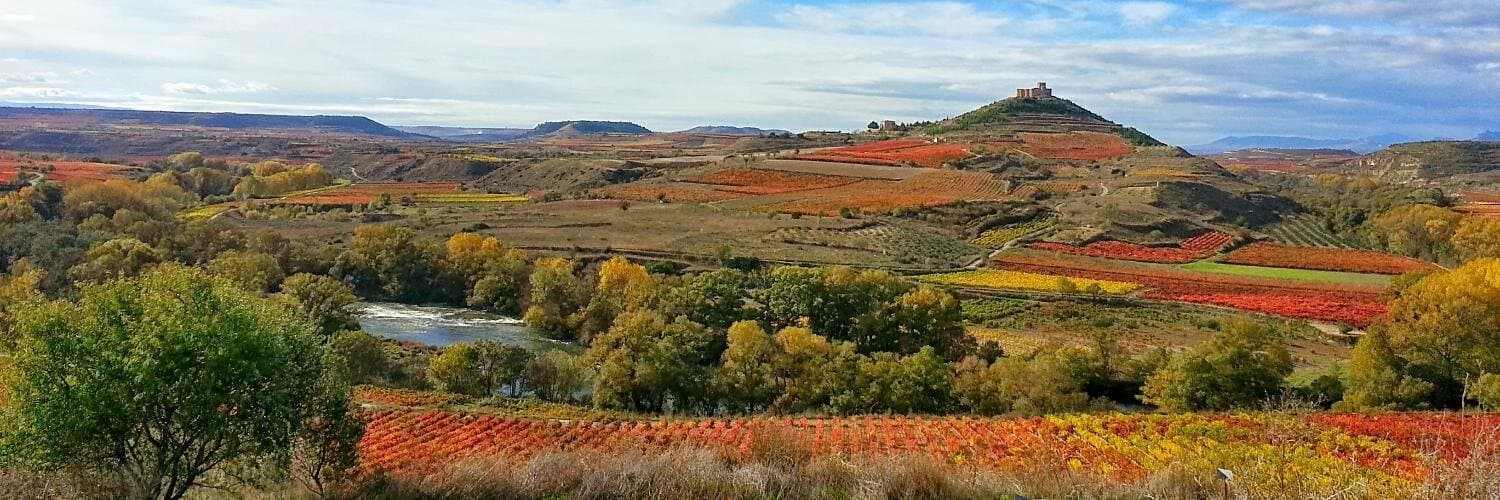 Tour con el propietario de una bodega desde 195€