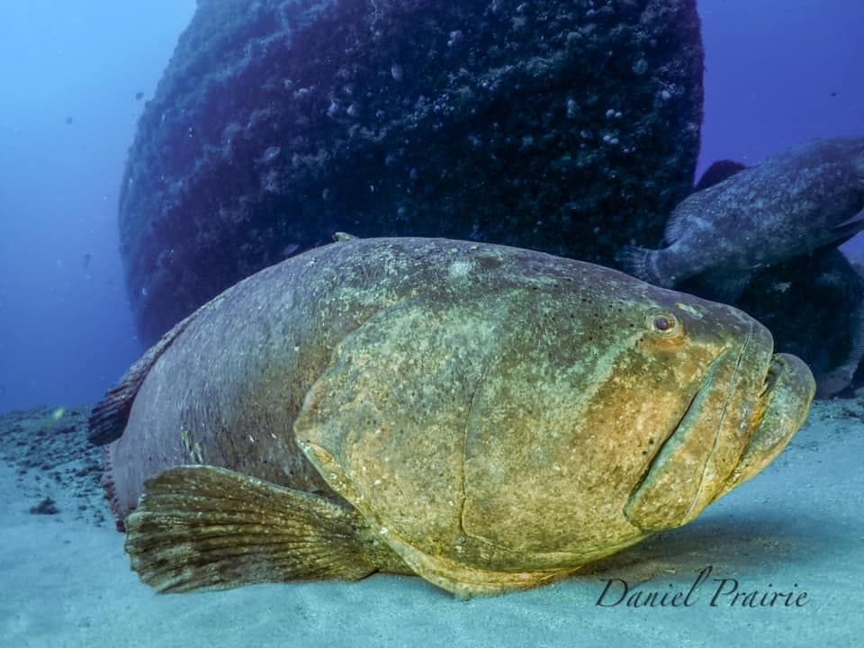 Jupiter Wreck Trek Two Tank Dive