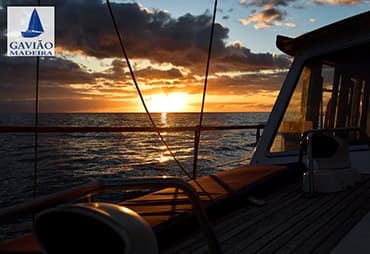 Gaviao Madeira - Sunset