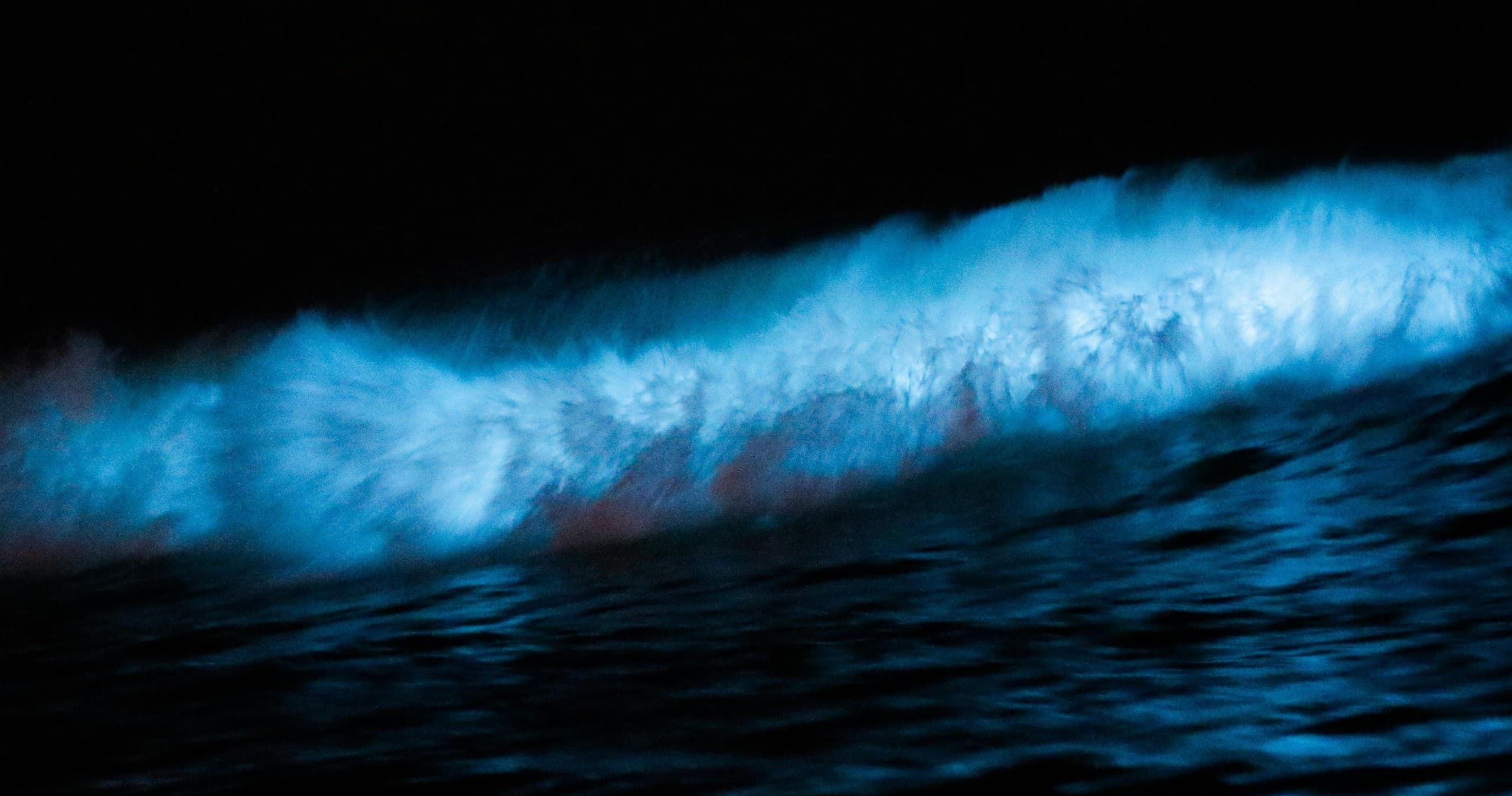 Bio-luminescent Guided Tour