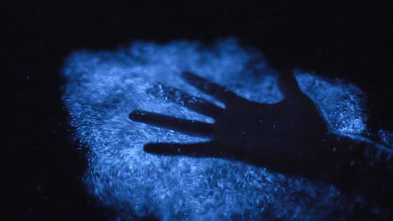 Bioluminescent Bay Swimming Tour