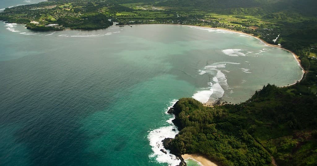 Private Surf Lesson
