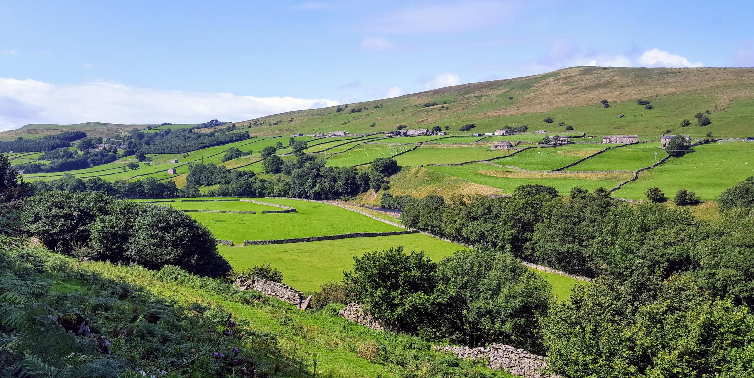 Full-Day Private Yorkshire Dales National Park Tour
