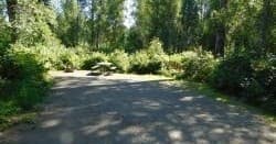 Camp Site 62