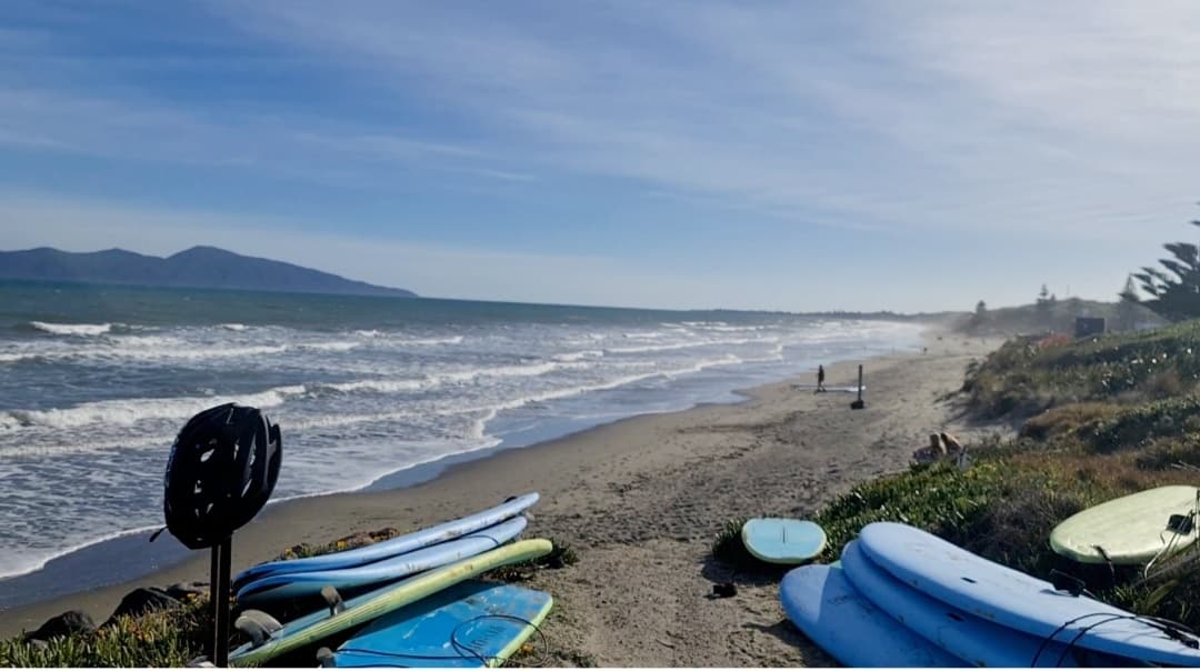Surf Rentals Calendar | Paekākāriki Beach