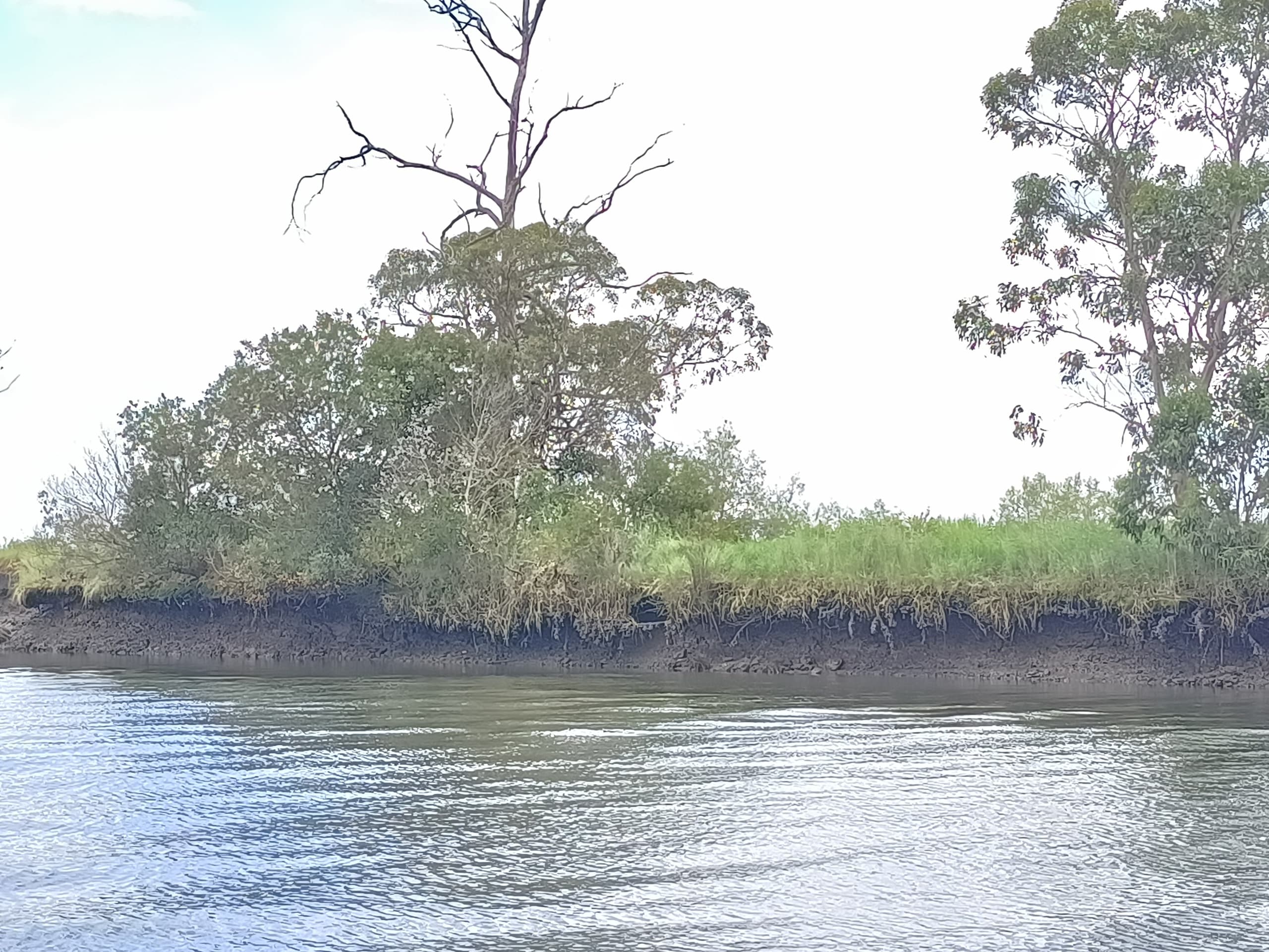 Wild Area of the Lagoon Expedition