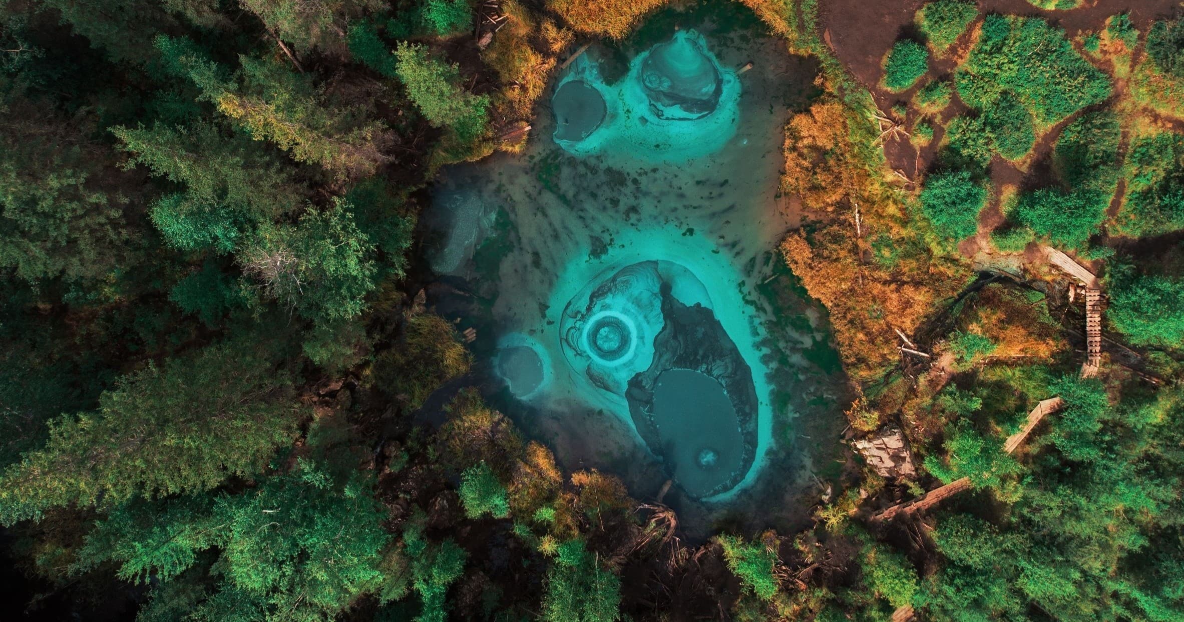 Yellowstone Lower Loop Tour