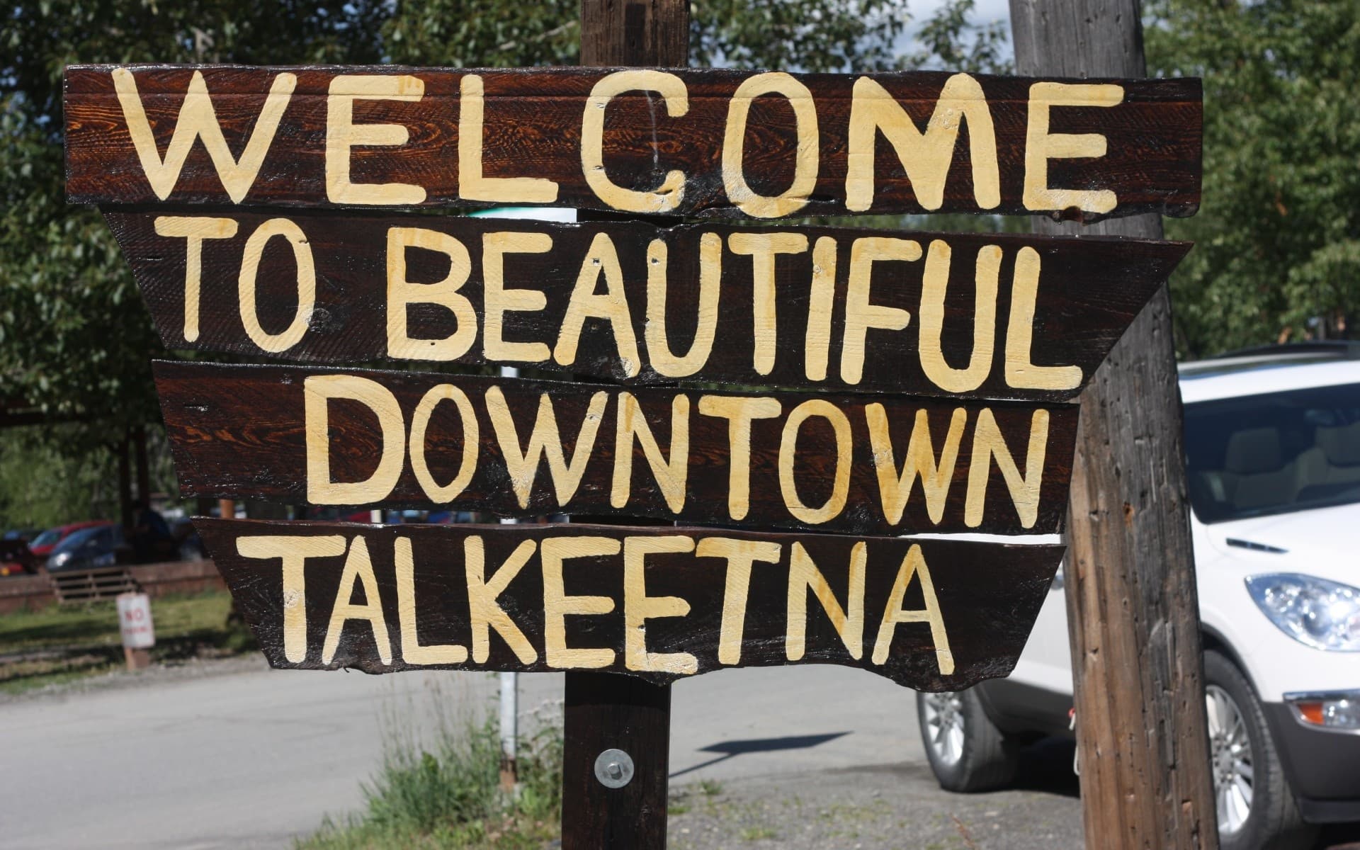 Day in Talkeetna Tour