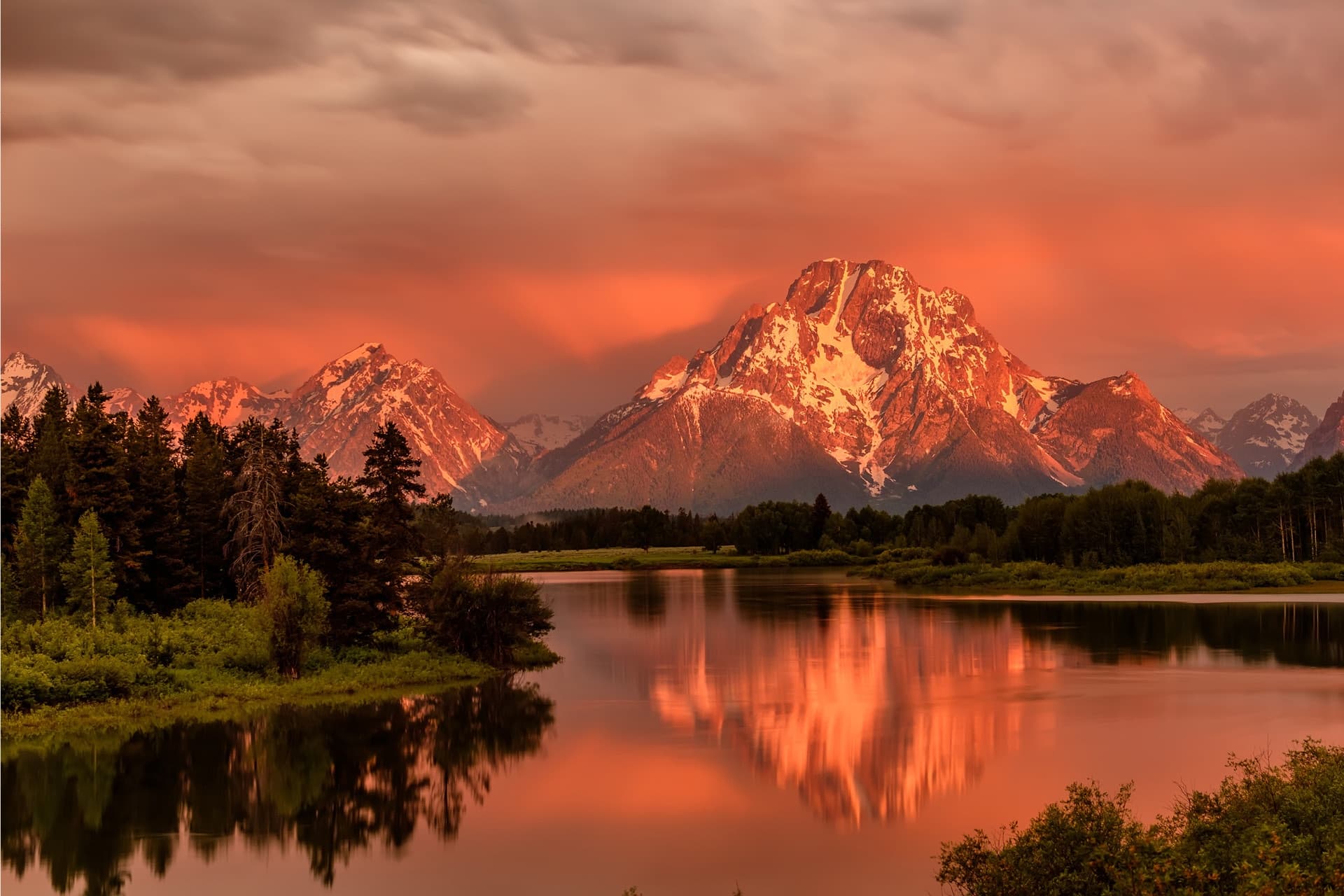 Sunrise Grand Teton Wildlife Safari departs Jackson WY