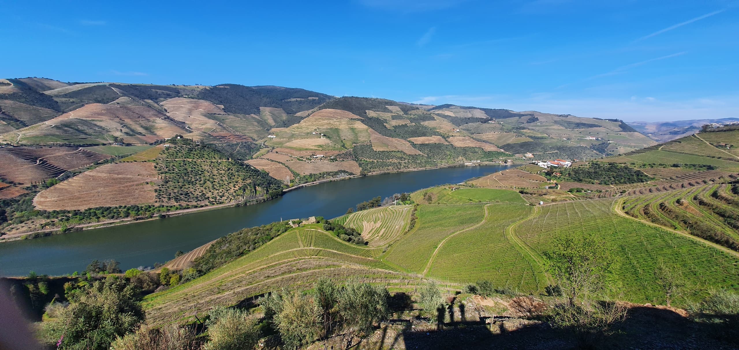 Passeio Privado ao Vale do Douro com Visita, Duas Adegas e Prova de Vinhos e passeio de Barco.