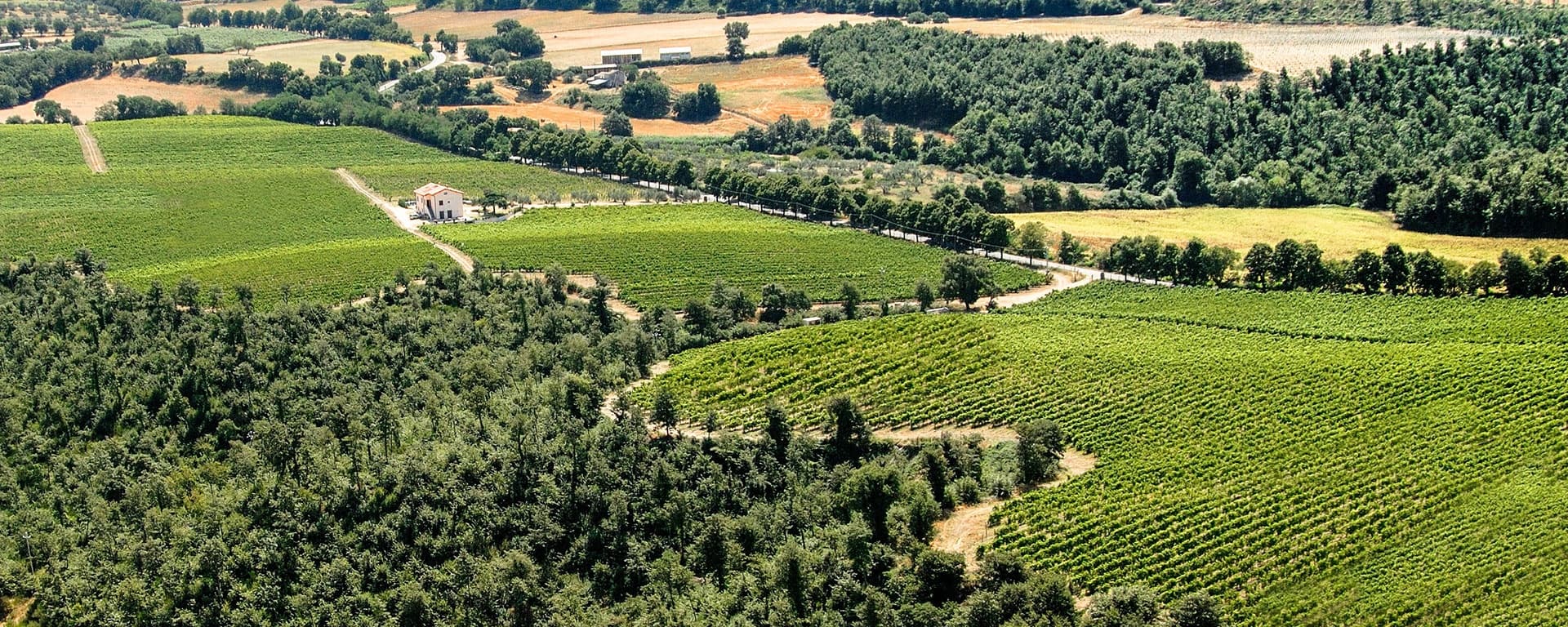 Alta Tuscia' eBike Tour with Visit to Antica Cantina Leonardi