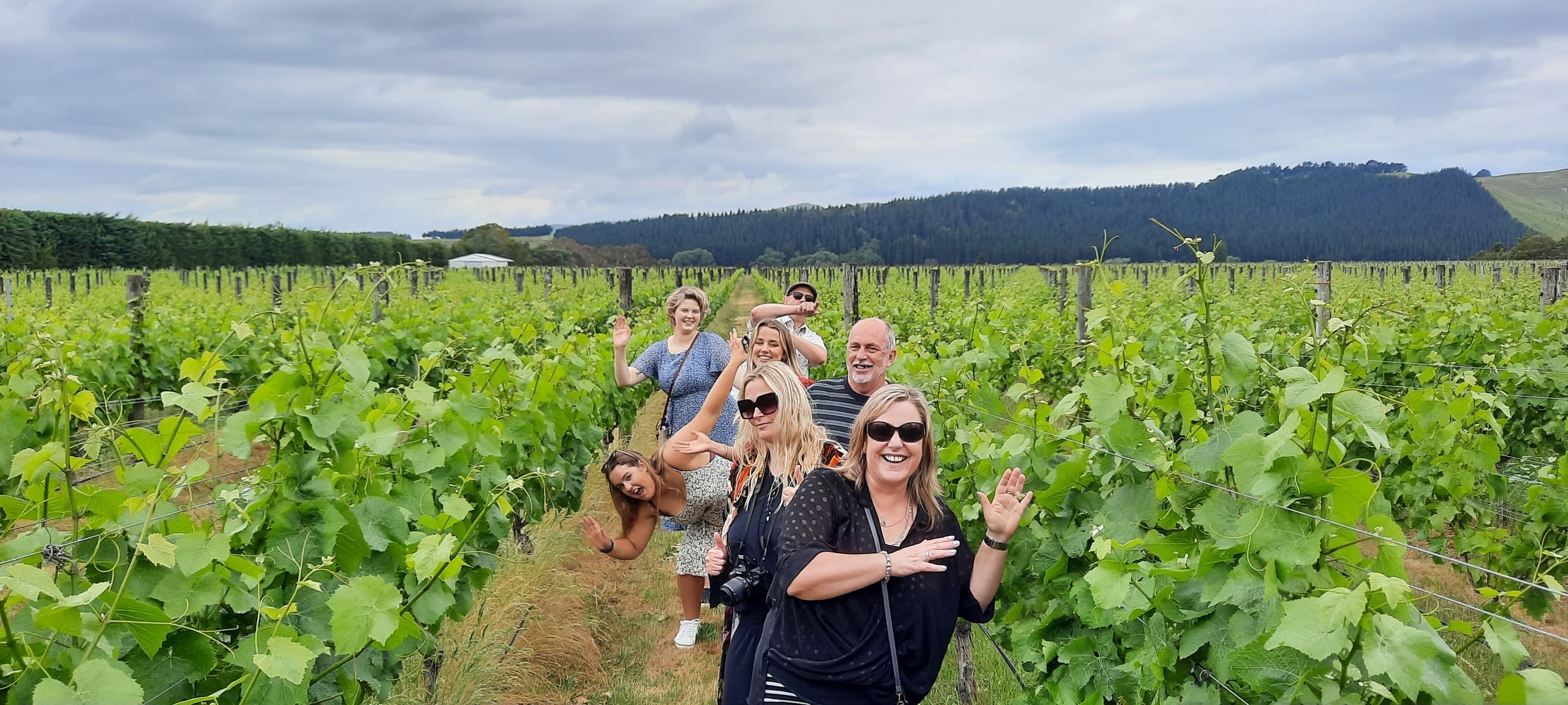 Martinborough Winery Tour