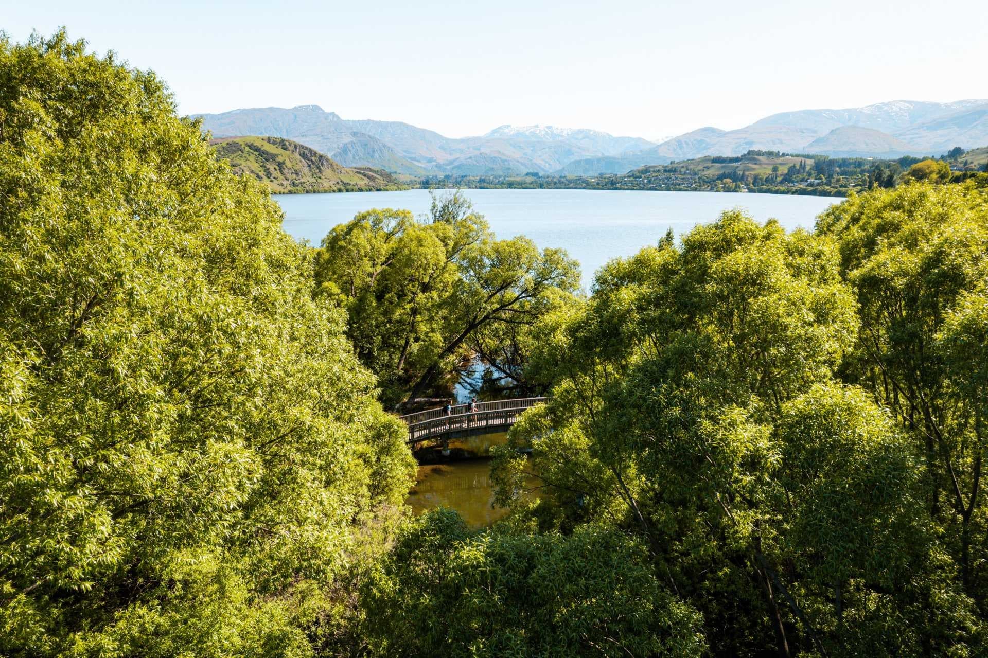 Queenstown to Arrowtown - Bike Hire + Shuttle Package 🚲 🚐