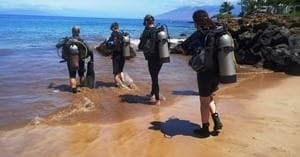 Wailea Intro Scuba Beach Dive